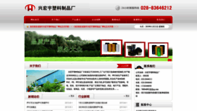 What Cdtianhong.com website looked like in 2019 (4 years ago)