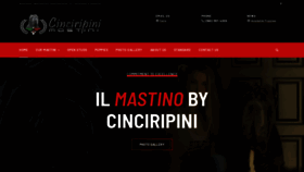 What Cmastini.com website looked like in 2019 (4 years ago)