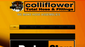 What Colliflower.com website looked like in 2019 (4 years ago)