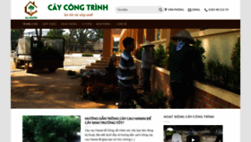 What Caycongtrinh.org website looked like in 2019 (4 years ago)