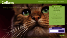 What Catrescue.be website looked like in 2019 (4 years ago)