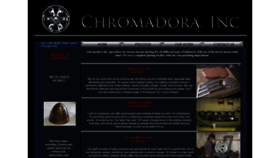 What Chromadorainc.com website looked like in 2019 (4 years ago)