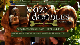 What Cozydoodles.com website looked like in 2019 (4 years ago)
