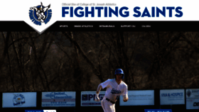What Csjfightingsaints.com website looked like in 2019 (4 years ago)