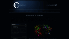 What Cardoso-lab.org website looked like in 2019 (4 years ago)