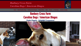 What Carolinadogs.org website looked like in 2019 (4 years ago)