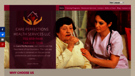 What Careperfections.com website looked like in 2019 (4 years ago)