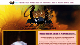 What Copperskyaussies.com website looked like in 2019 (4 years ago)