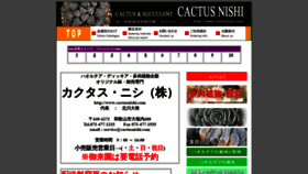 What Cactusnishi.com website looked like in 2019 (4 years ago)