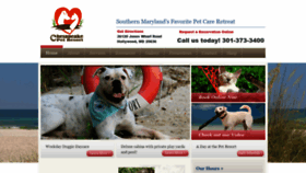 What Chessiepets.com website looked like in 2019 (4 years ago)