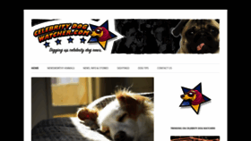 What Celebritydogwatcher.com website looked like in 2019 (4 years ago)