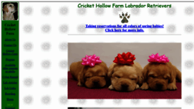 What Crickethollowfarm.com website looked like in 2019 (4 years ago)