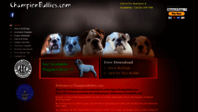 What Championbullies.com website looked like in 2019 (4 years ago)