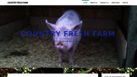 What Countryfreshfarms.net website looked like in 2019 (4 years ago)