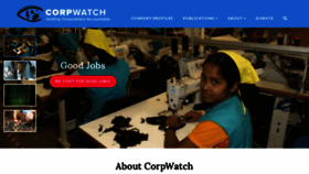 What Corpwatch.org website looked like in 2019 (4 years ago)