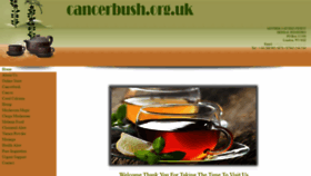 What Cancerbush.org.uk website looked like in 2019 (4 years ago)