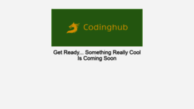 What Codinghub.in website looked like in 2019 (4 years ago)
