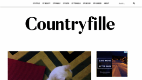 What Countryfille.com website looked like in 2019 (4 years ago)
