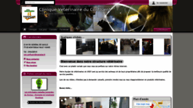 What Clinique-veterinaire-du-confluent.com website looked like in 2020 (4 years ago)