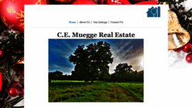 What Cemuegge.com website looked like in 2020 (4 years ago)