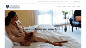 What Chli.com website looked like in 2020 (4 years ago)
