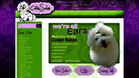 What Cotonsalon.com website looked like in 2020 (4 years ago)