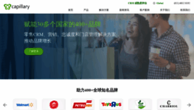 What Capillarytech-cn.com website looked like in 2020 (4 years ago)