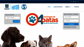What Ciudadano4patas.com website looked like in 2020 (4 years ago)
