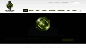 What Classicfengshuimastery.com website looked like in 2020 (4 years ago)