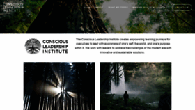 What Consciousleadershipinstitute.org website looked like in 2020 (4 years ago)