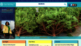 What Cityofrochester.gov website looked like in 2020 (4 years ago)