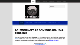 What Catmouseapk.org website looked like in 2020 (4 years ago)