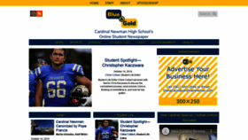 What Cnbluegold.com website looked like in 2020 (4 years ago)