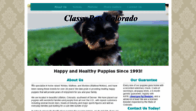 What Classypetscolorado.com website looked like in 2020 (4 years ago)