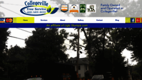 What Collegevilletreeservice.com website looked like in 2020 (4 years ago)