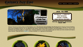 What Carlsonstreecare.com website looked like in 2020 (4 years ago)