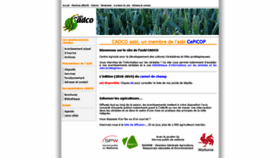 What Cadcoasbl.be website looked like in 2020 (4 years ago)