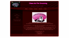 What Classactpetgrooming.com website looked like in 2020 (4 years ago)
