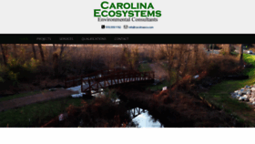 What Carolinaeco.com website looked like in 2020 (4 years ago)