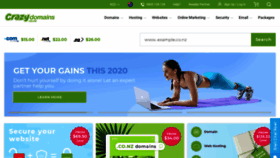 What Crazydomains.co.nz website looked like in 2020 (4 years ago)