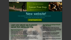 What Cancercurefordogs.com website looked like in 2020 (4 years ago)