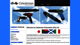 What Caledoniansa.co.za website looked like in 2020 (4 years ago)