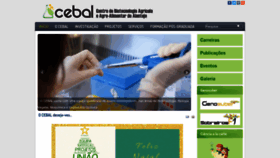 What Cebal.pt website looked like in 2020 (4 years ago)