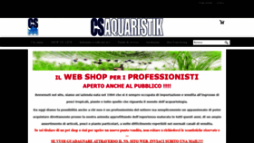 What Csaquaristik.com website looked like in 2020 (4 years ago)