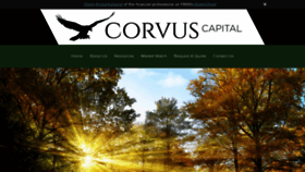 What Corvuscapitalllc.com website looked like in 2020 (4 years ago)