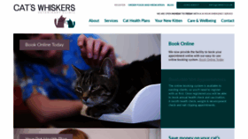 What Cwvet.co.uk website looked like in 2020 (4 years ago)