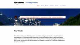 What Caricesarotti.com website looked like in 2020 (4 years ago)