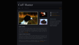 What Cuffhunter.co.nz website looked like in 2020 (4 years ago)