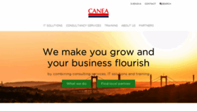 What Canea.com website looked like in 2020 (4 years ago)