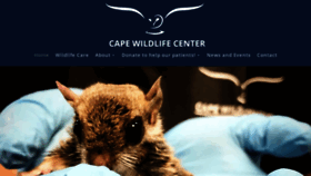 What Capewildlifecenter.com website looked like in 2020 (4 years ago)